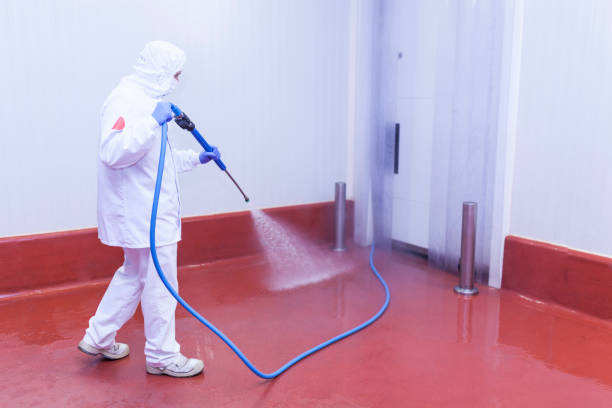Best Dumpster Area Cleaning  in Buchanan, GA